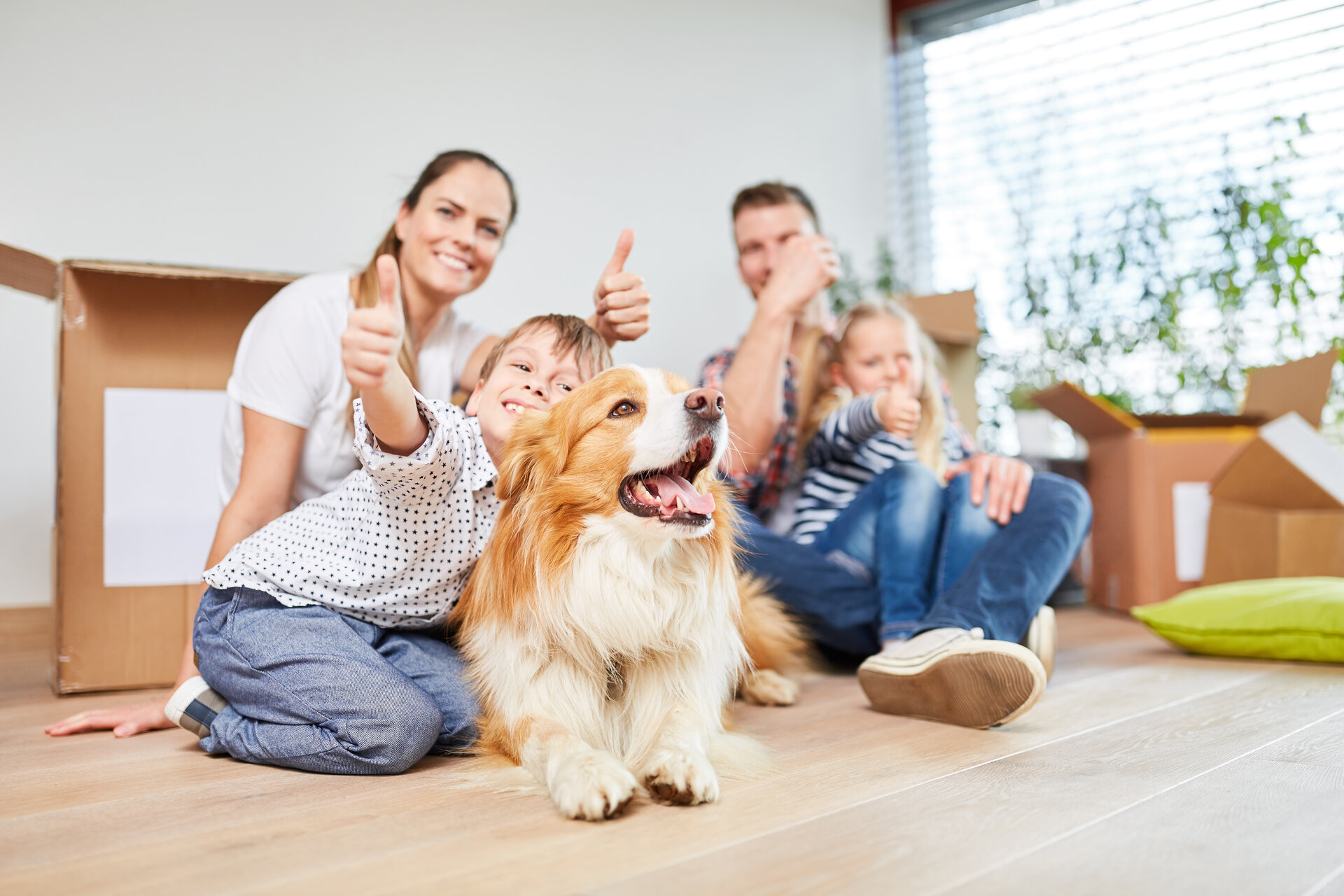 You are currently viewing Glückliches Hundeleben: Die wichtigsten Tipps für Hundebesitzer